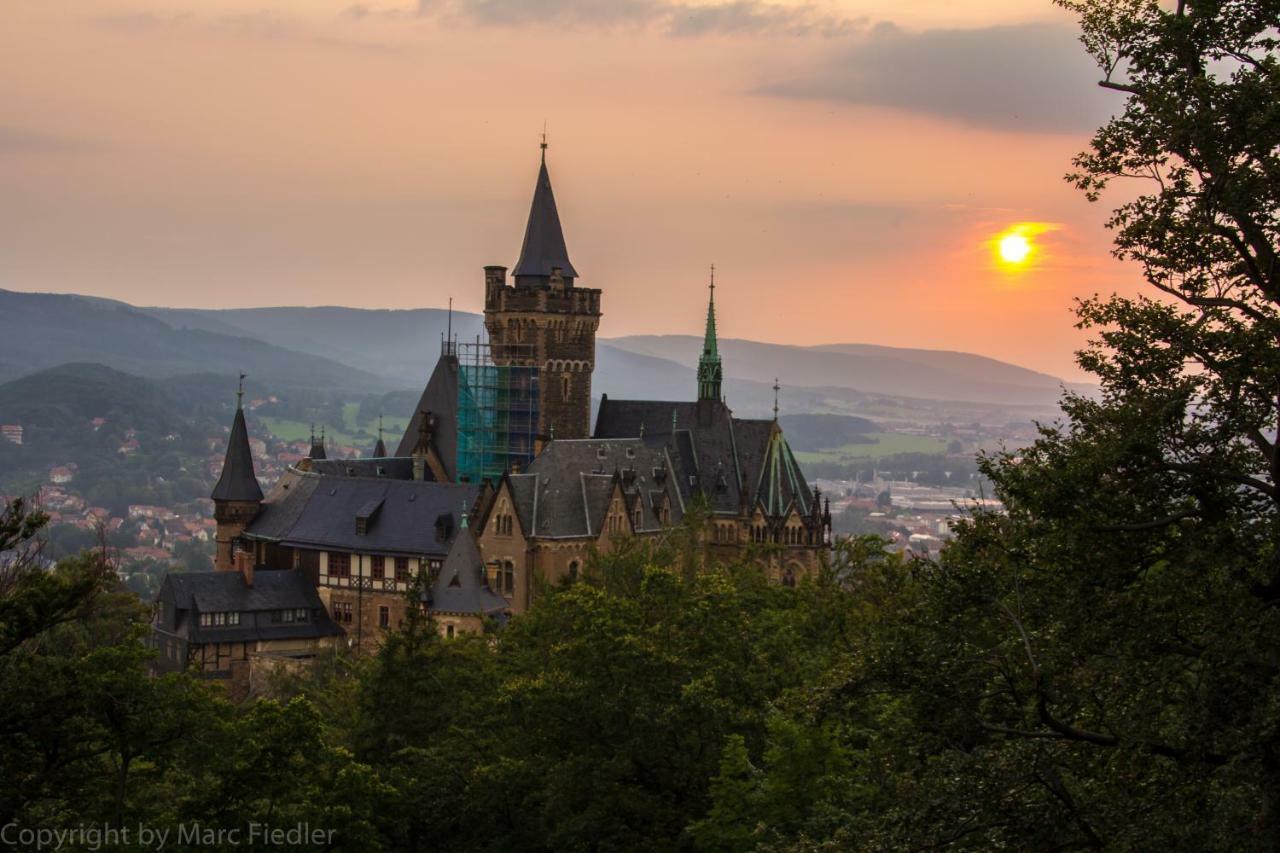 Fewo Koenigstein 2 Тале Екстер'єр фото